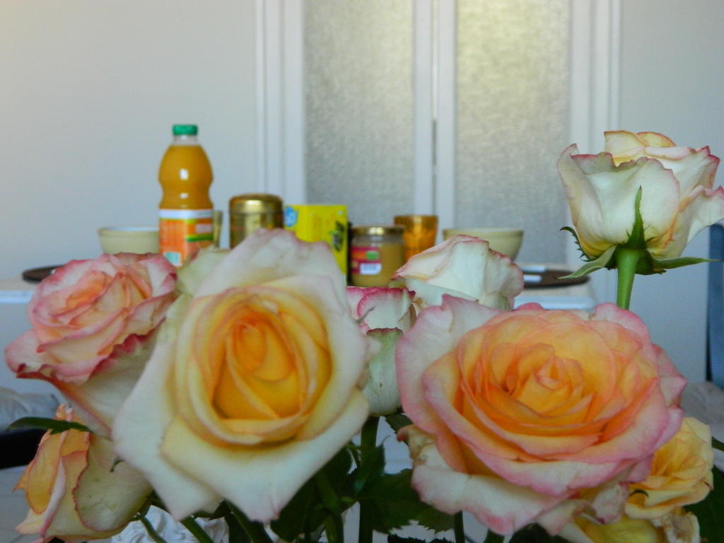 Chambre D'Hote Zen Chez Philippe 马赛 客房 照片